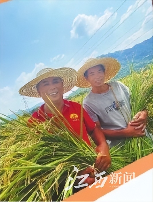 央视中国农民丰收节江西省,中国农民丰收节江西活动实况转播