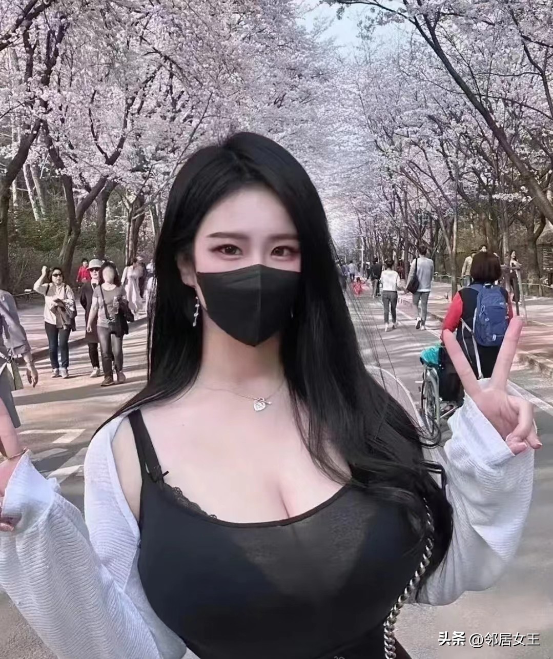 了解一下中国的传统美食文化,中华美食的独特魅力与传统