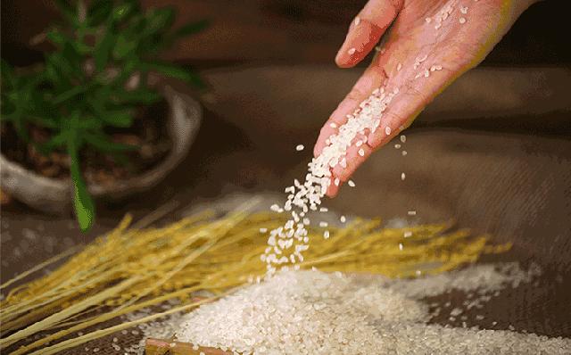 日本酒地图,日本最好的小麦酒