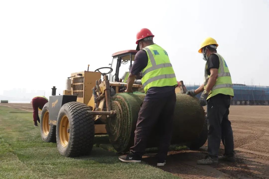 大连梭鱼湾专业足球场座位图,梭鱼湾足球场草坪更换