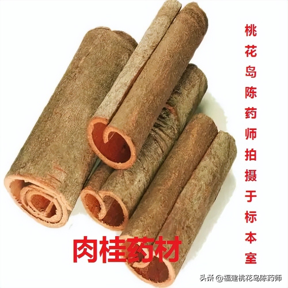 十七味中药功效和作用,温里散寒的药物有哪些