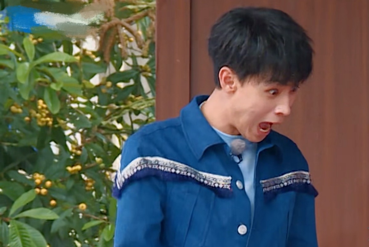 奔跑吧第7季首播撕名牌,奔跑吧第七季首播撕名牌