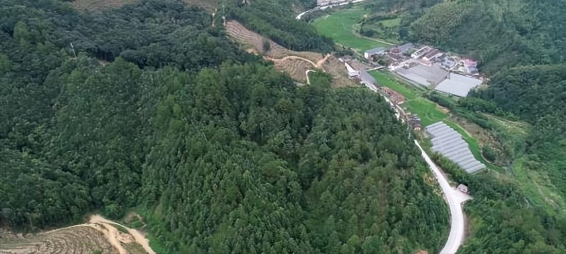 农业绿色植保技术,农业植保技术推广