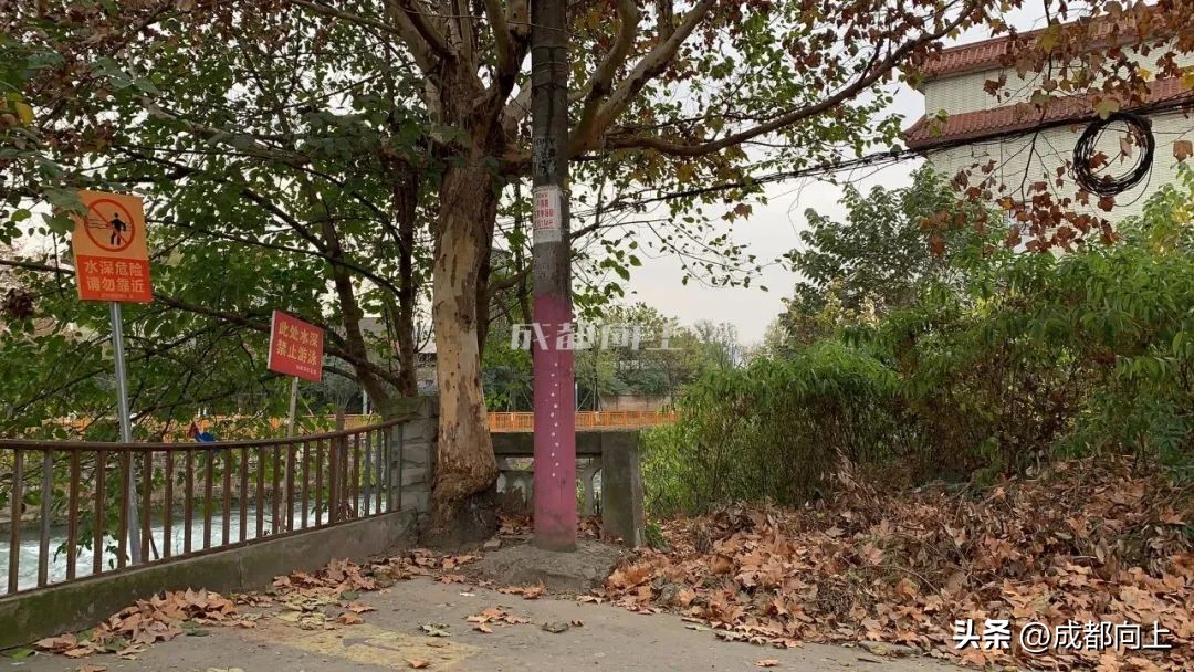 马家寺交通拥堵,双流马家寺现状