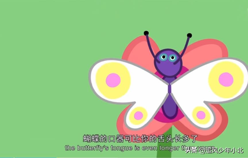 跟小猪佩奇学高频词,小猪佩奇英语简短版故事