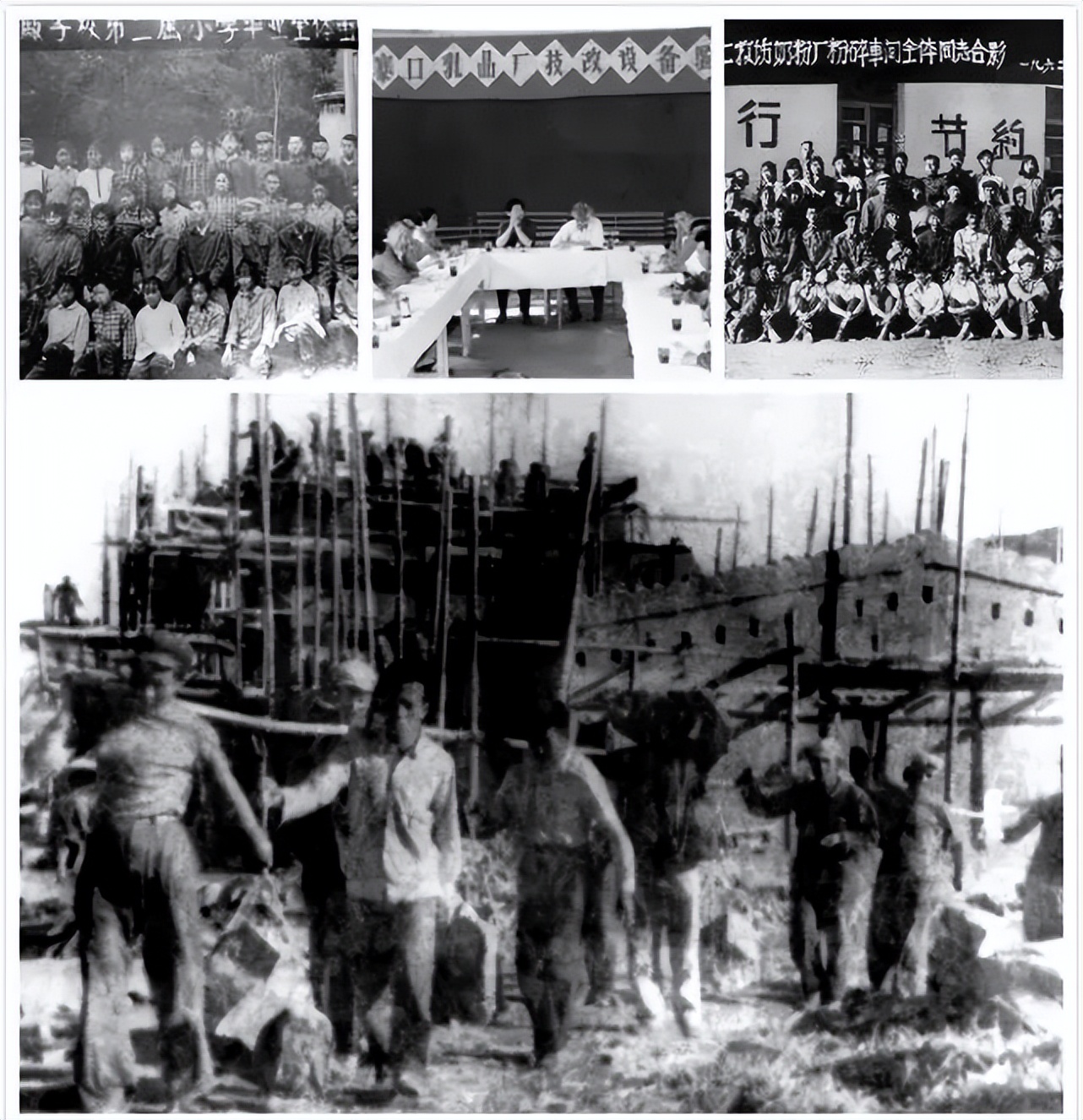 负债400万，起死回生！这家64岁民族企业，如何成为“乳业茅台”