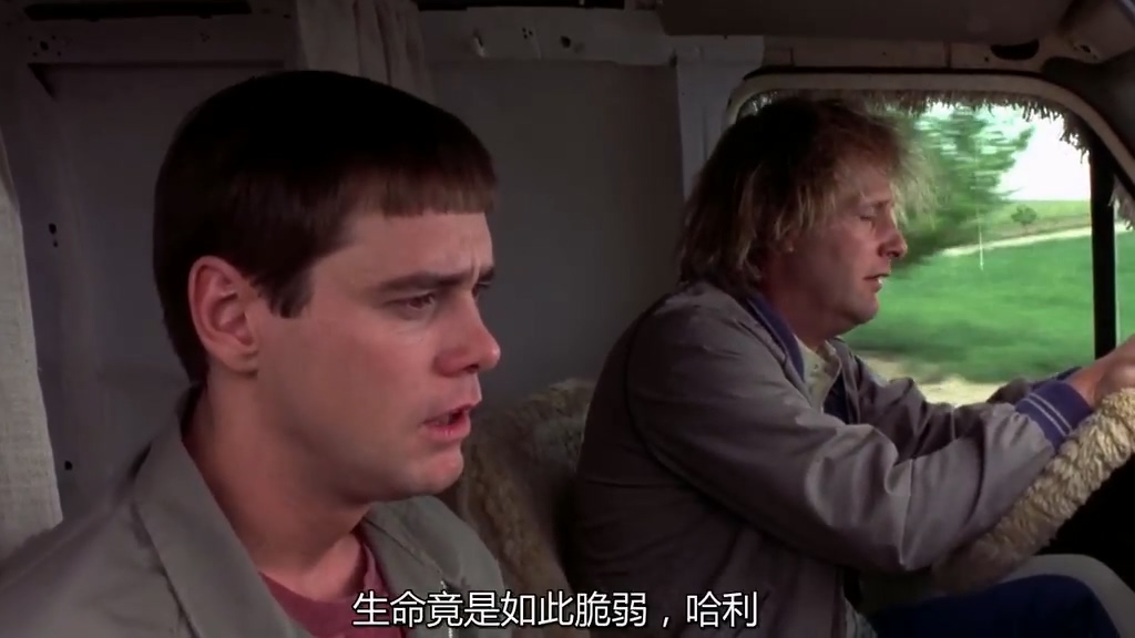 让人啼笑皆非的一部公路喜剧《阿呆与阿瓜》