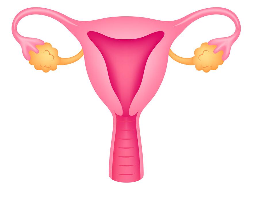 高危hpv16阳性会自愈吗？怎么办才好？