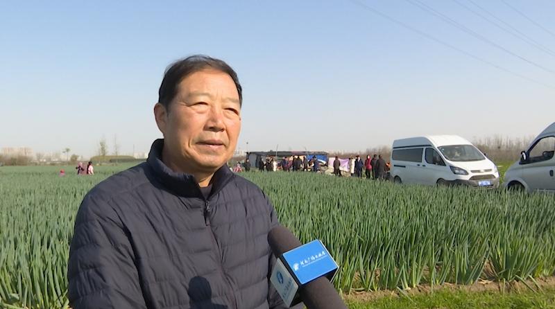 打通物流梗阻纾困滞销蔬菜,周口郸城助农扶农