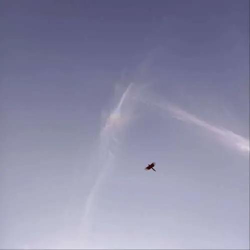 低调又不失内涵的文艺句子,简简单单却惊艳你的高级句子