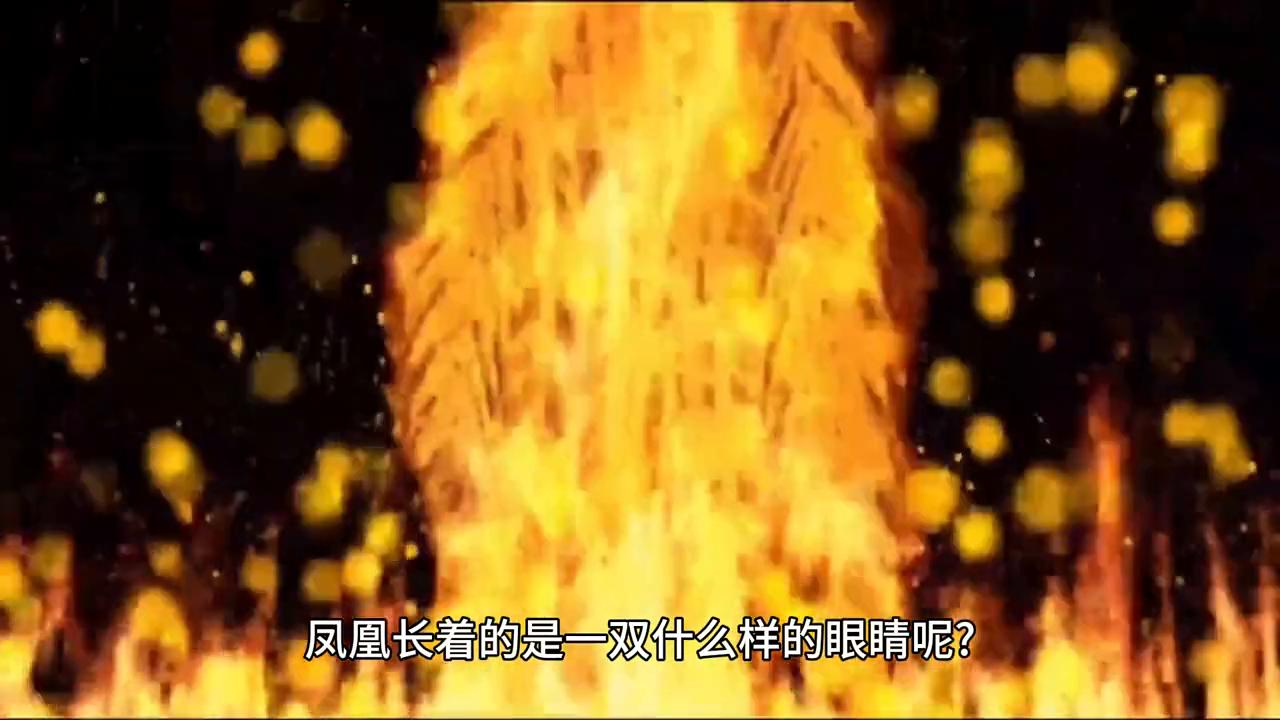 怎样的眼睛形容词,眼睛丹凤眼的标准图片