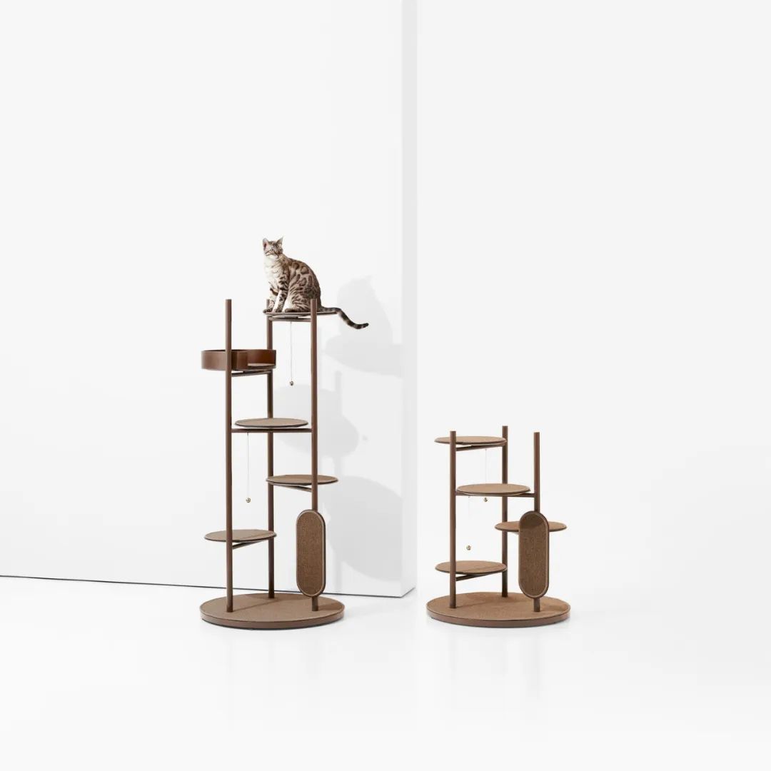 2022年iF设计奖：宠物用品类