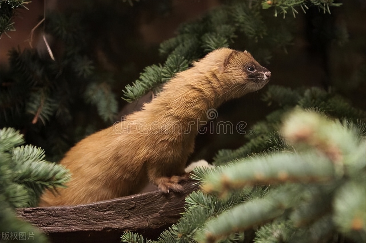 “安城门”的麻二爷（小说）以总题《白村凡人》发表于《渤海风》