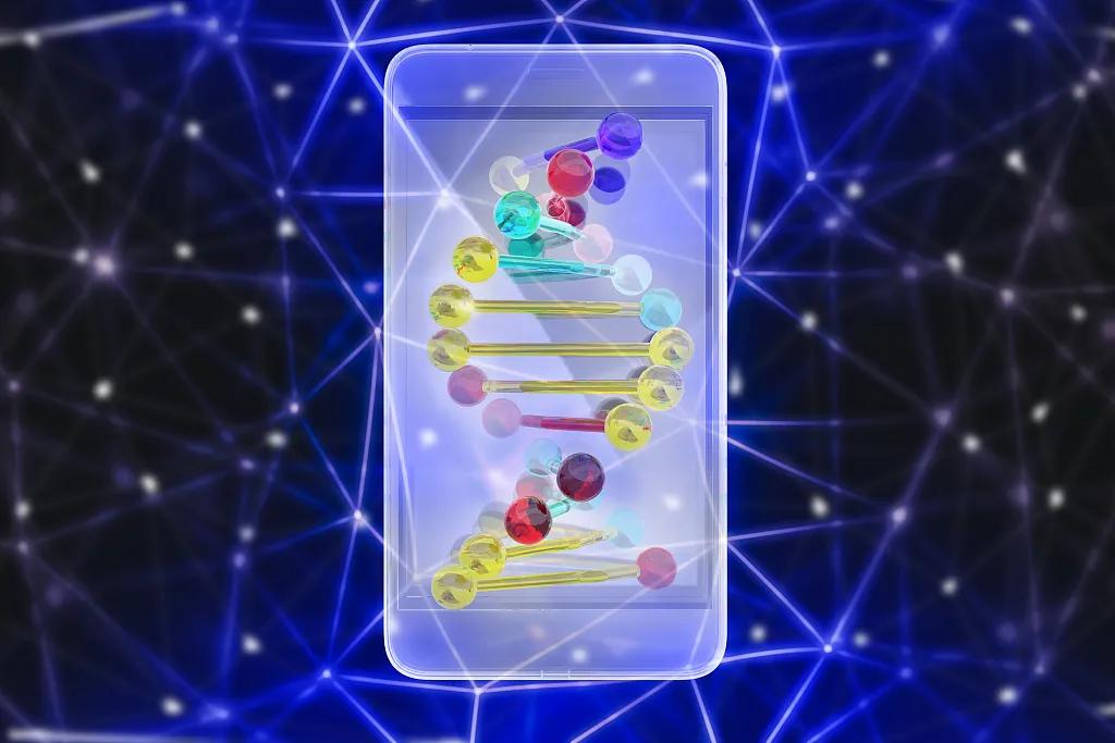 dna用什么可以做,dnau盘