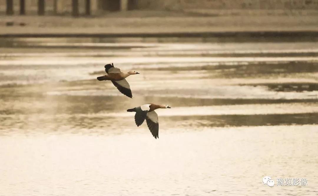 每日60秒纵览天下事件,每天3分钟尽览天下事语音播报