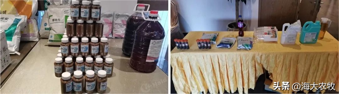 新里程集团未来规划,海大集团水纪元