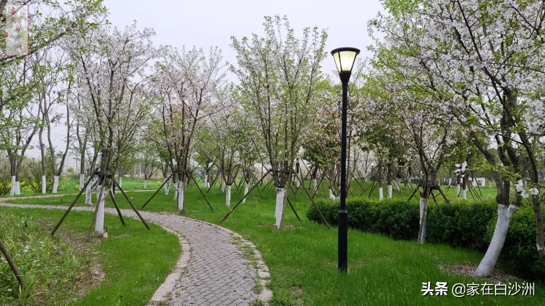 青菱公园儿童乐园,青菱新区绿地