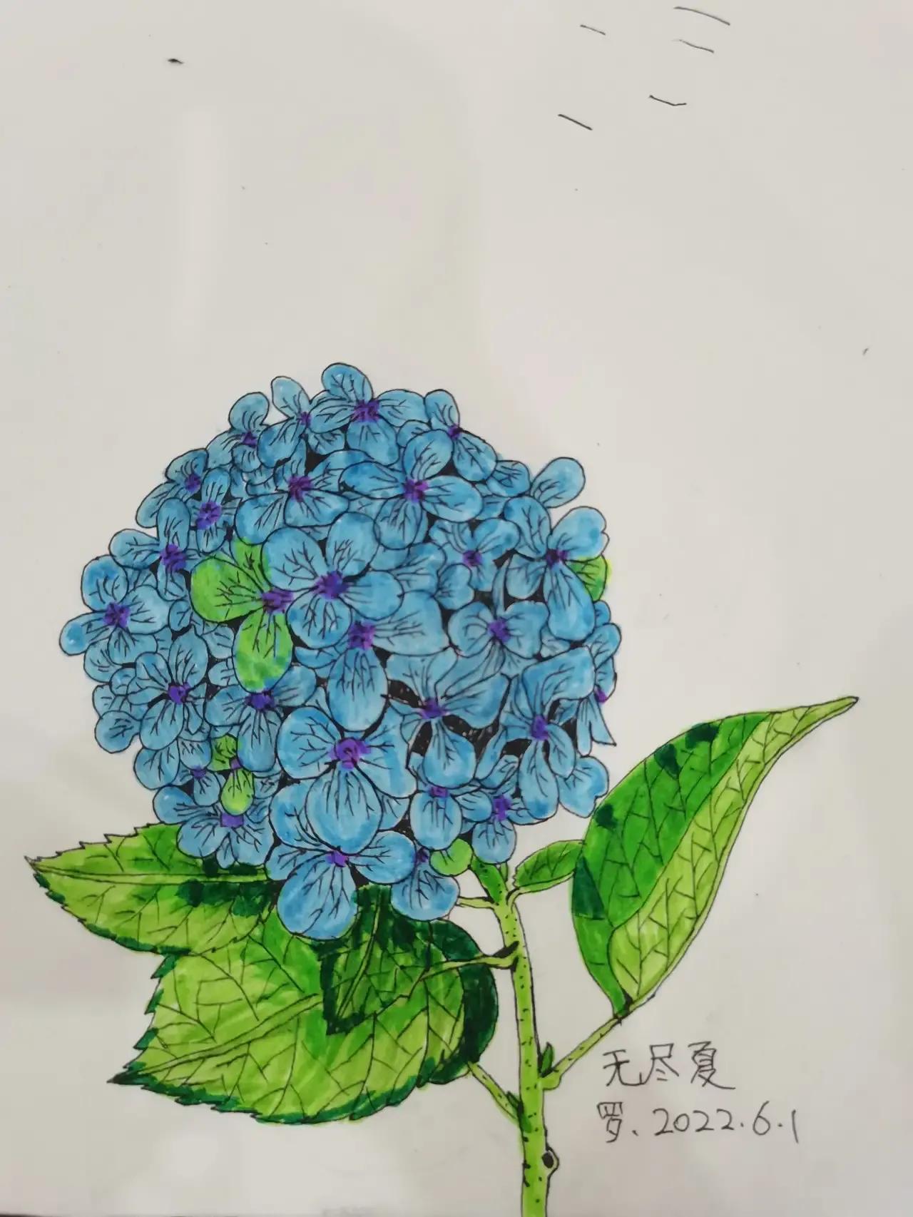 自学画画几年才有成果,自学画画一星期