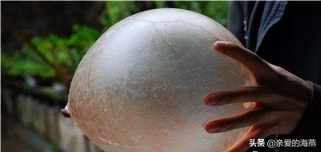 70后童年吃过的零食,8090后小时候吃过的东西