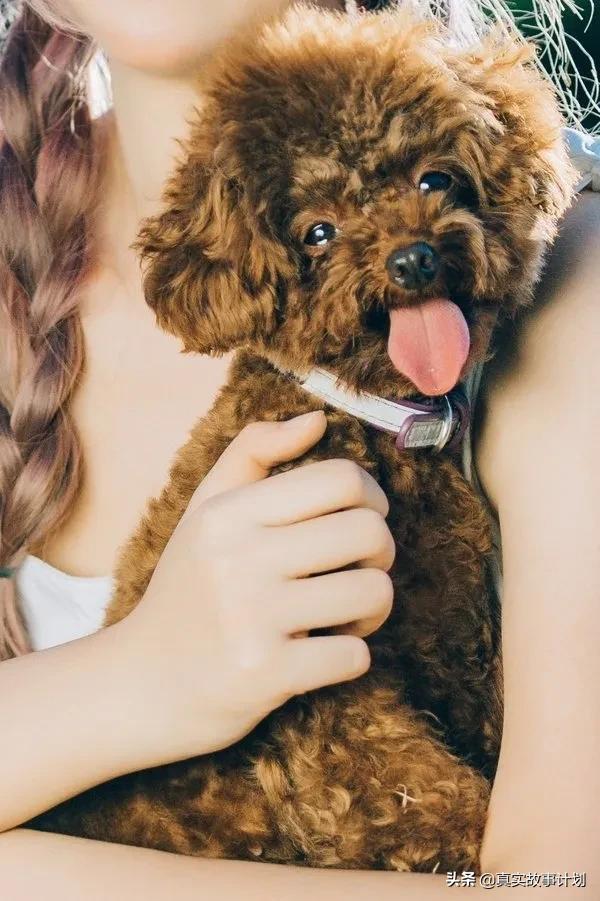 年轻人的手机里有什么？把胡须、证件照和速效救心丸藏在手机背后