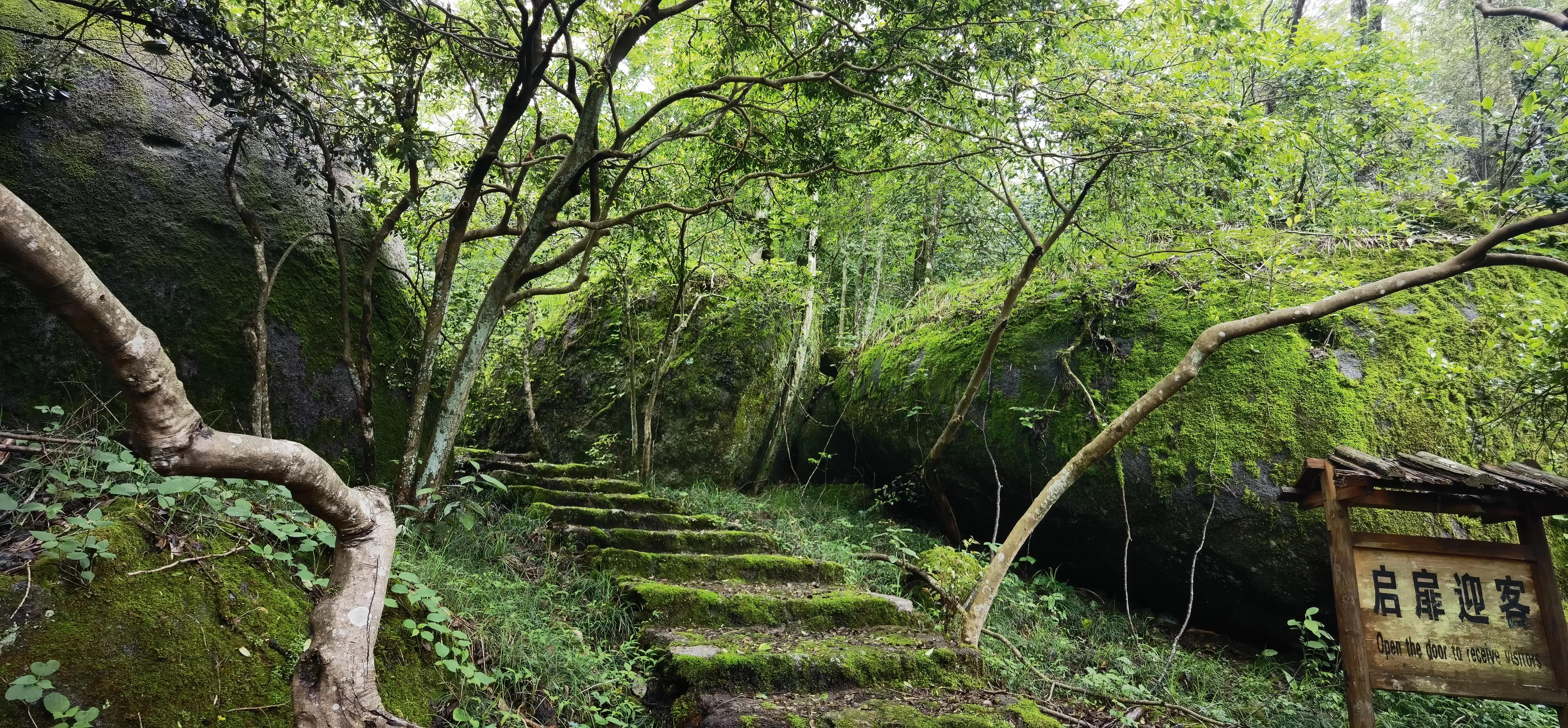 浏阳大围山森林公园浏阳河源头,大围山杜鹃花在哪个景点看