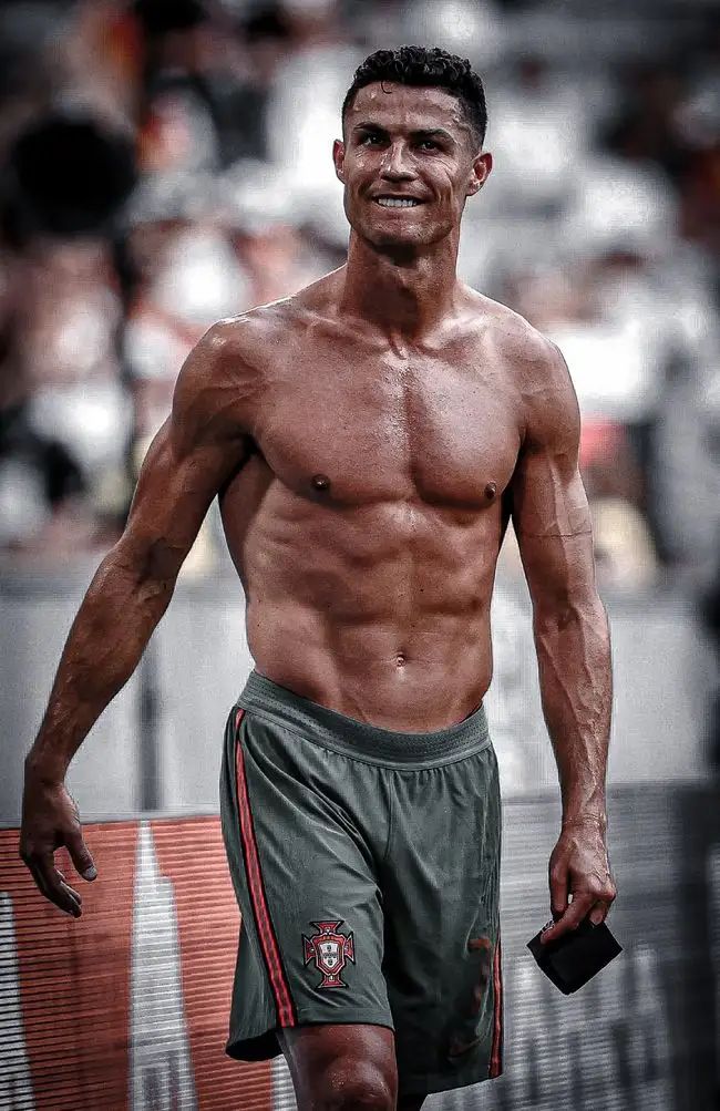 英雄迟暮廉颇老矣足球,足坛十大英雄迟暮