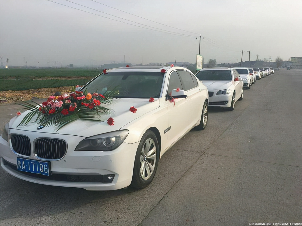 婚车品牌排行榜前十名,高端婚车品牌哪家好