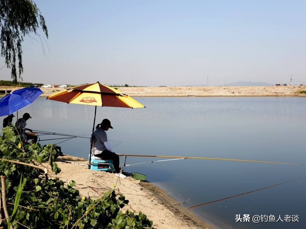 怎样选鱼竿野钓选什么鱼竿,钓鱼竿入门竿怎么选择最好