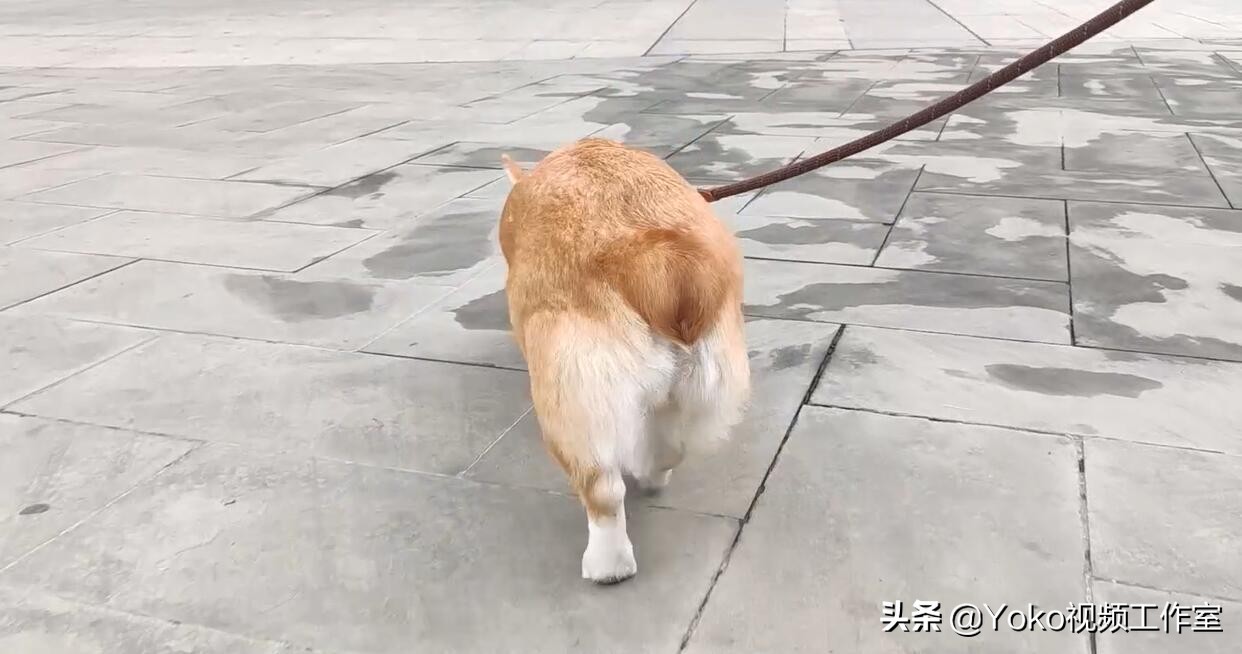 电脑网购哪个平台最好买,网购电脑哪个平台最靠谱