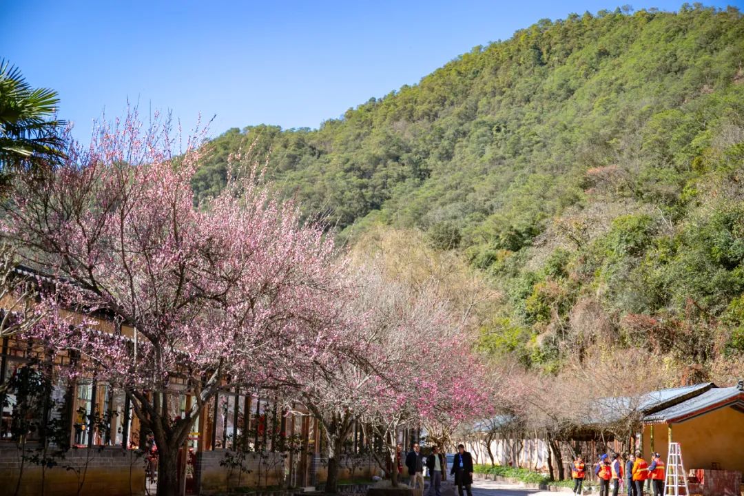 昆明旅游漂流攻略图,昆明夏季旅游攻略一日游景点