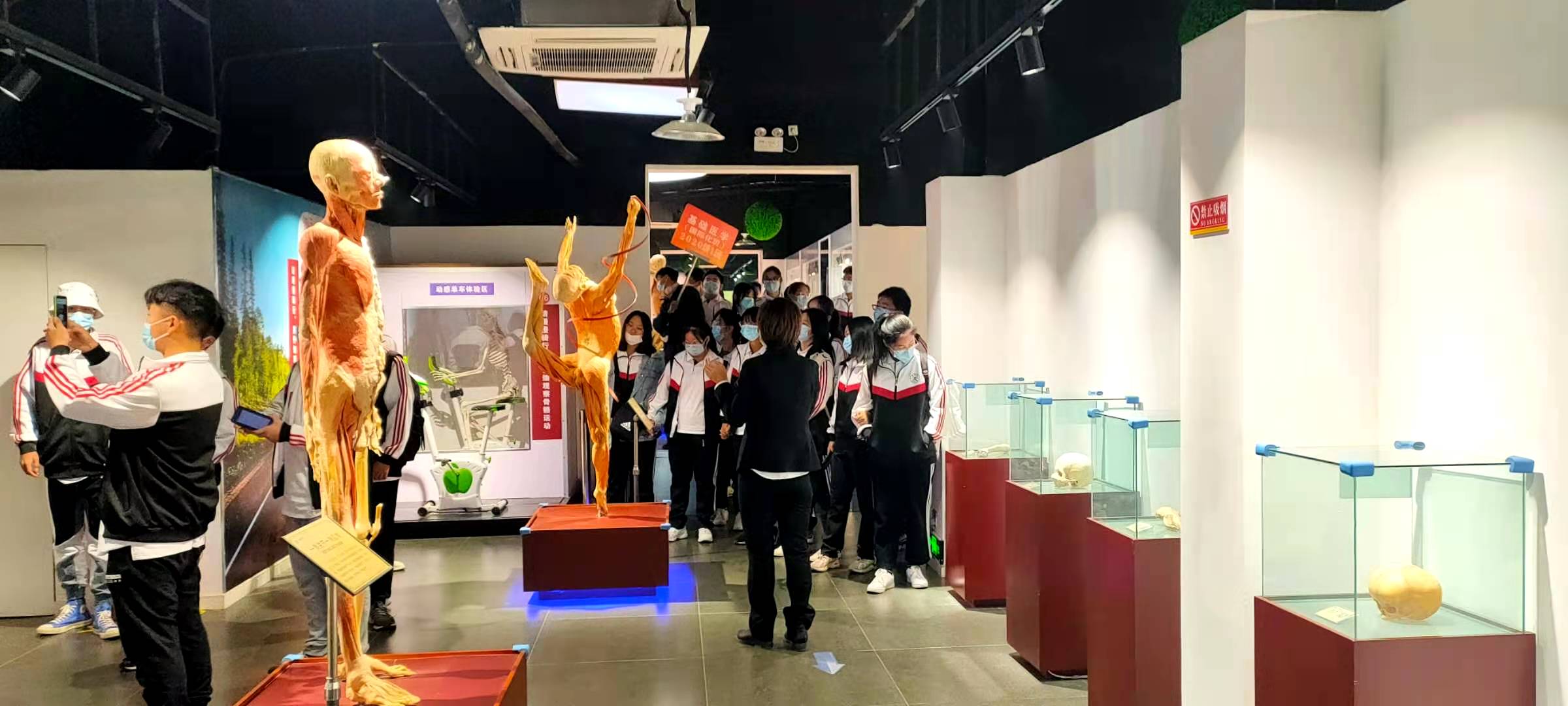 郑州七月份适合带孩子去哪旅游,郑州周边五一适合去哪旅游带孩子