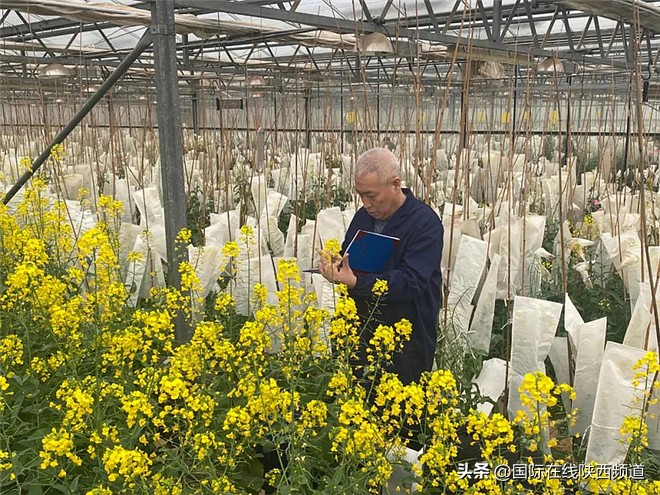 杨凌农科城的未来,中国农科城陕西杨凌