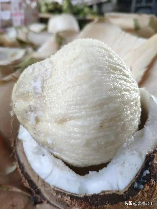 海南旅游水果有哪些特点,去海南旅游必买的十大水果