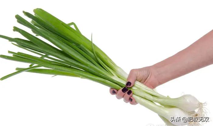 520最暖心的告白读音,520最暖心短句