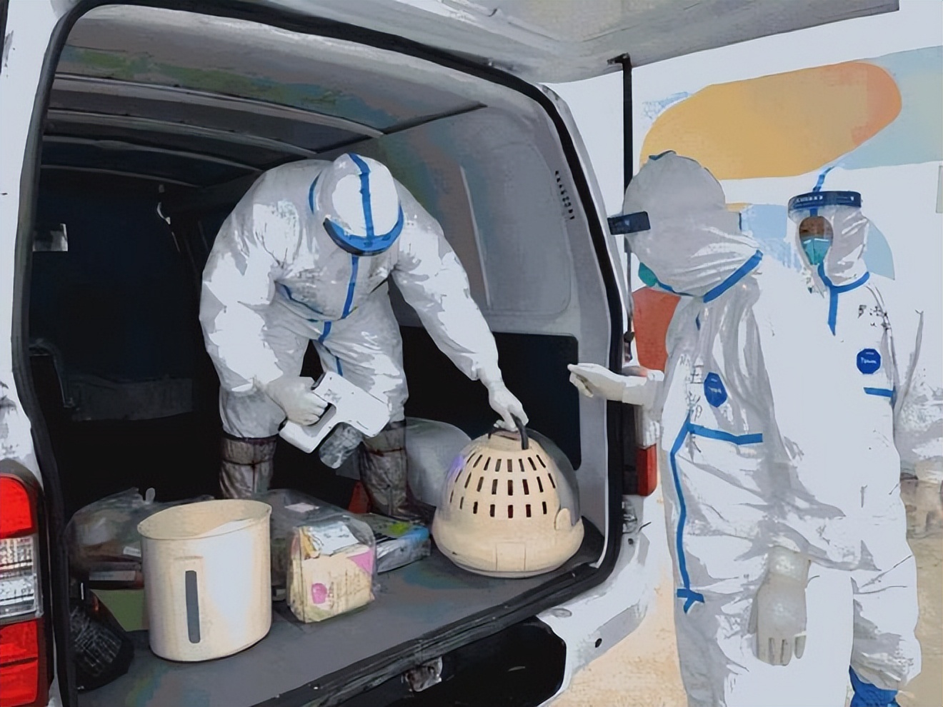 京东花臂大掌门,京东迎来首位女掌舵者