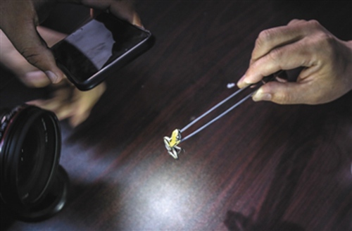 热带雨林十大危险动物蛇,亚马逊热带雨林最恐怖的蛇