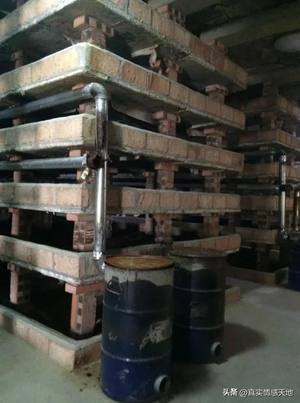 致富创业真实经历,80后五千元创业致富经