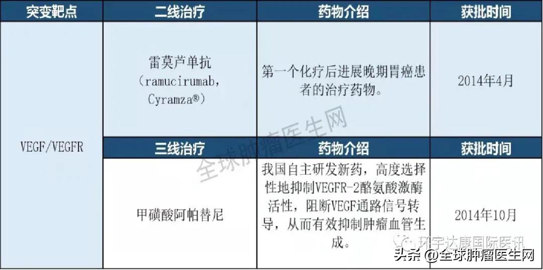 收藏|2022胃癌已上市的9大靶向,免疫药物信息大全