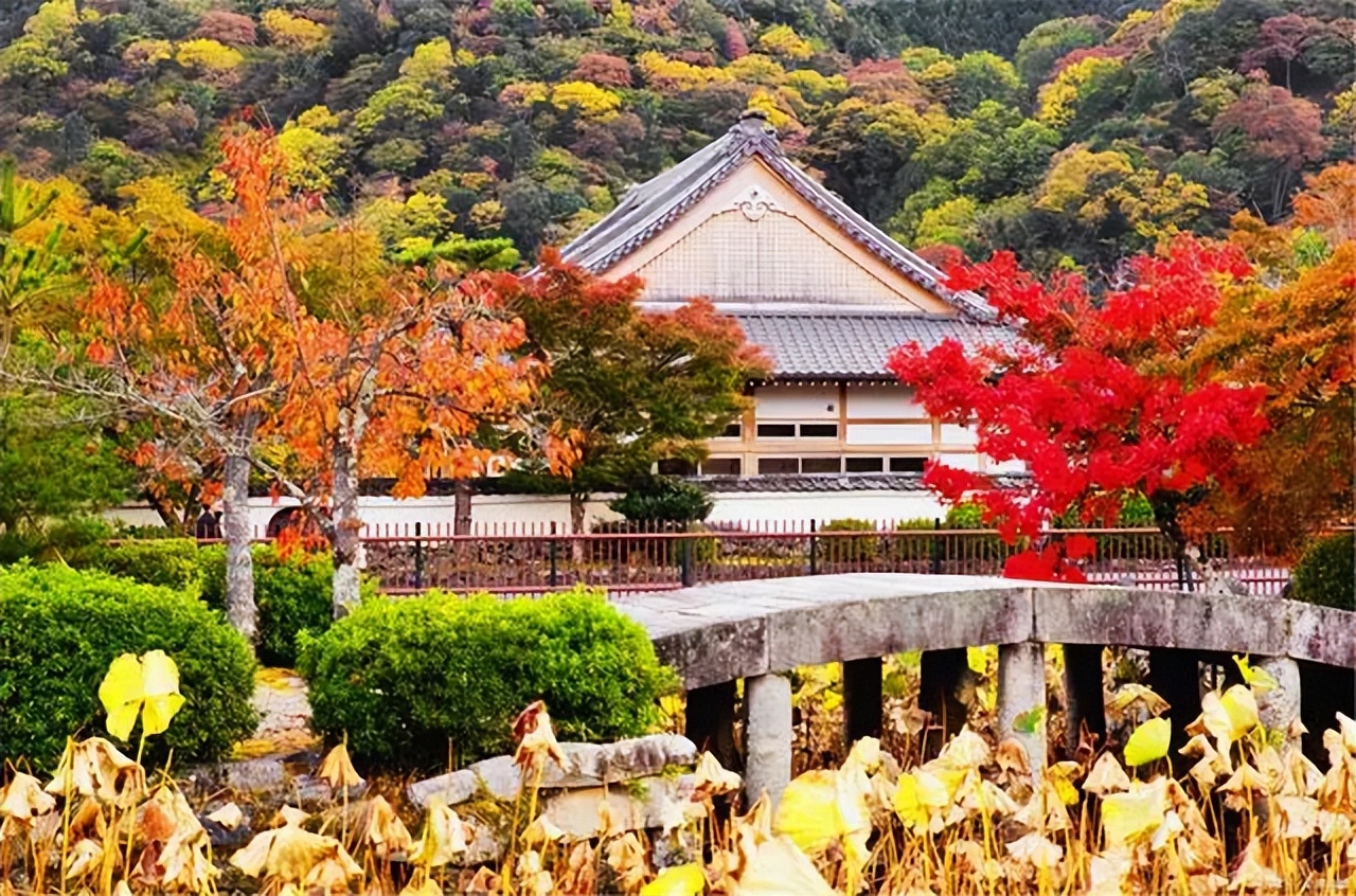 日本人均寿命长寿,日本人长寿4个秘诀已公开