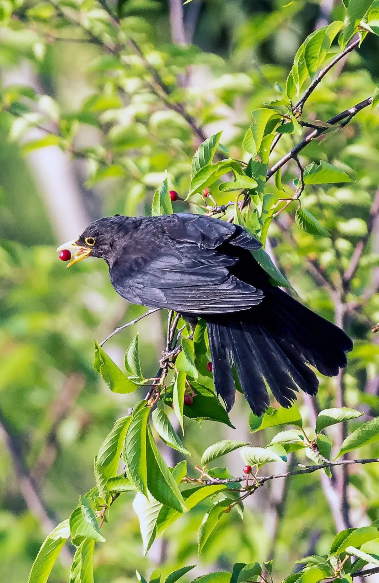 上海市嘉定区安亭国际汽车城,上海嘉定安亭国际汽车城