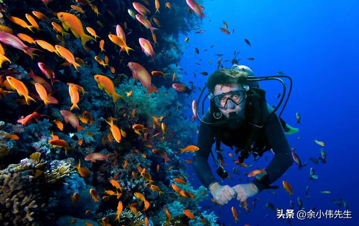 游泳戴近视泳镜好还是平光泳镜好,李宁近视泳镜和361近视泳镜哪款好