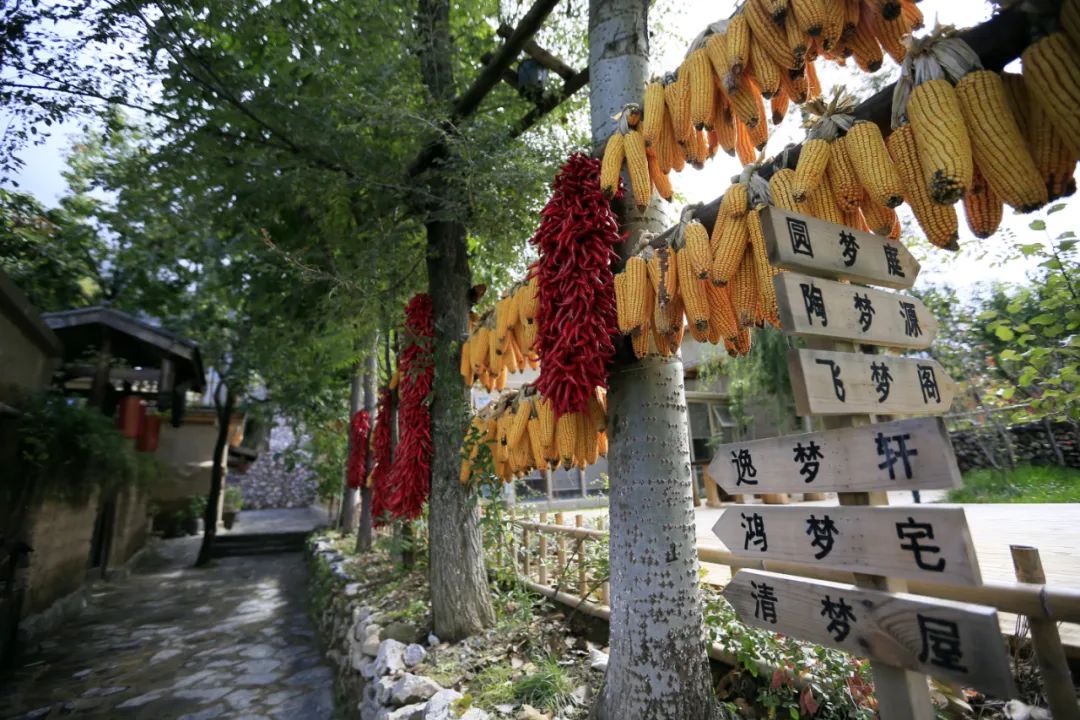 魅力陇南市区,魅力陇南陇上江南