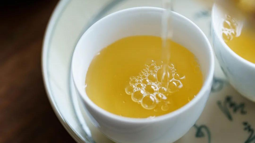 内含物质高达52％的茶种，竟然在云南？|2023茶山播报06