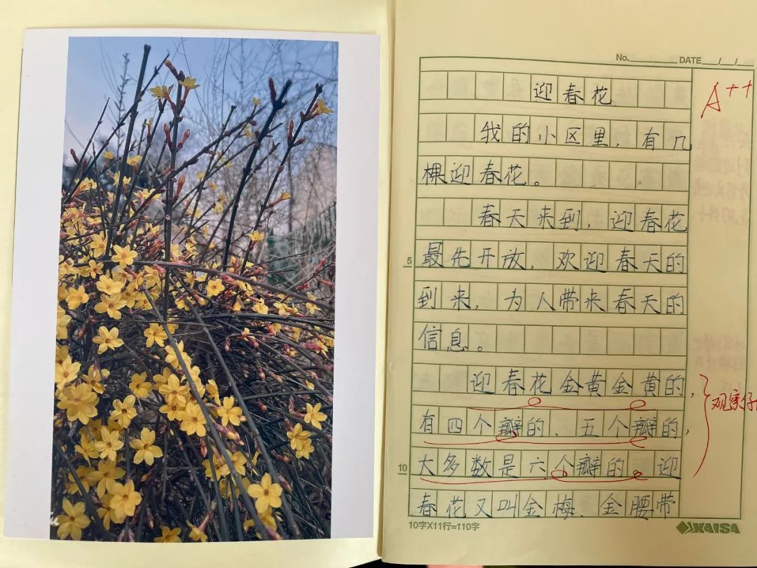 中小学教学常规管理督查通报,抓教学常规检查促学校规范管理