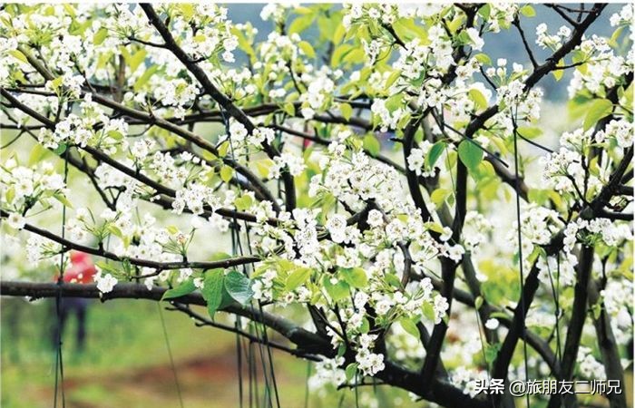 清远阳山二天一夜旅游景点攻略,广州自驾阳山旅游攻略图