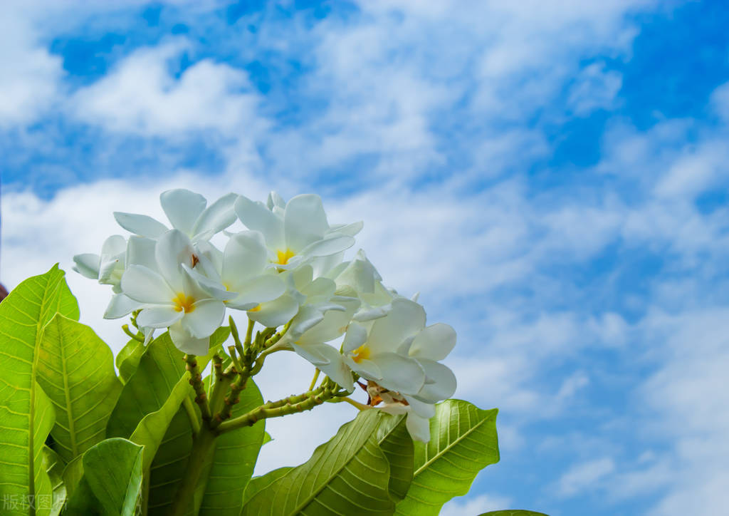 人际关系10条要领解读,人际关系注意事项