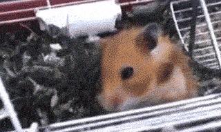 出差住宾馆给老婆发照片,老婆出差酒店给我发照片