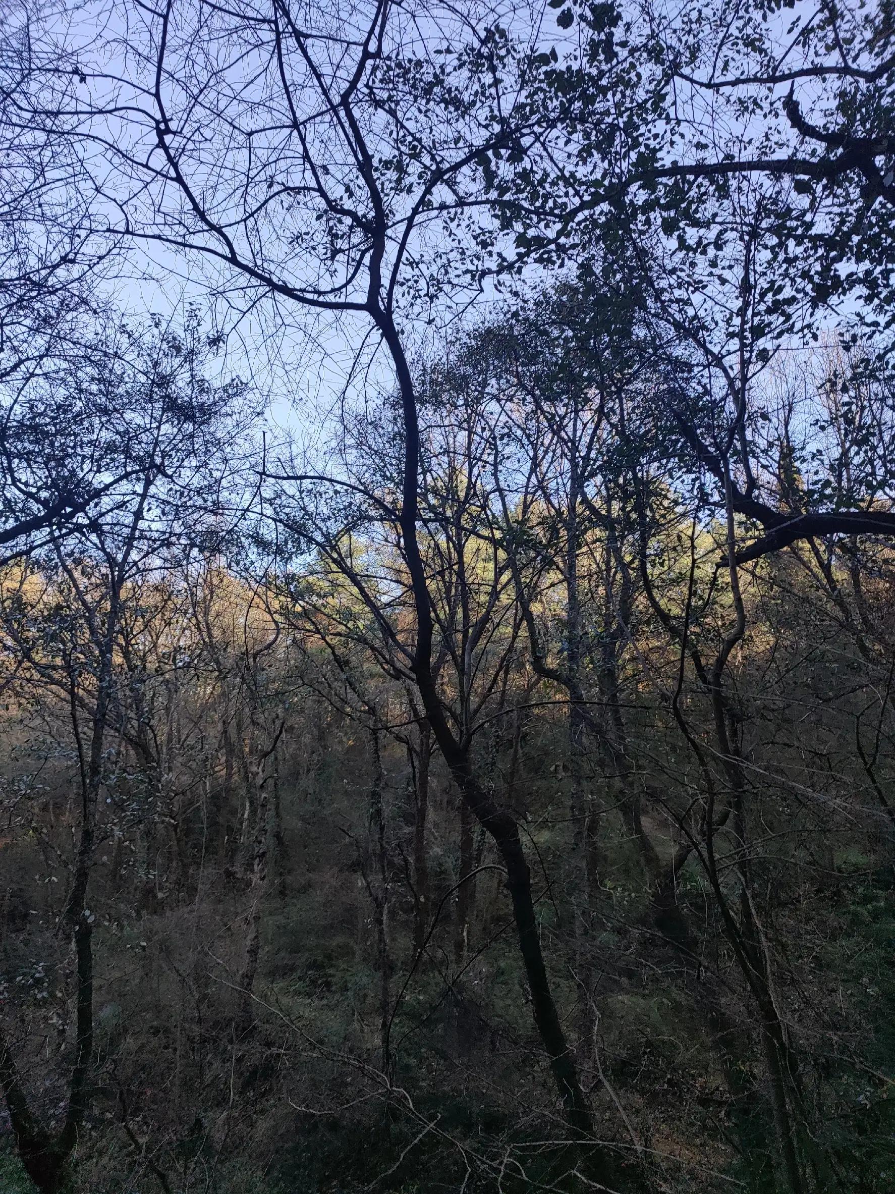 昆明西山区这边值得打卡的地方,昆明西山值得打卡吗