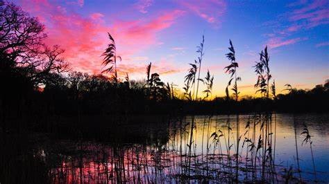 护照过期可以去泰国吗,护照过期了可以申请去香港吗