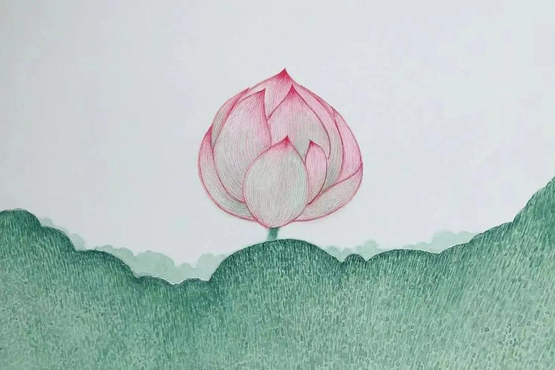 濯清涟而不妖的清的意思,濯清涟而不妖的濯字是什么意思